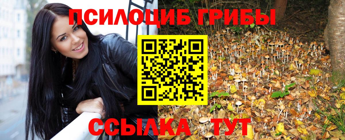 Псилоцибиновые грибы прущие грибы Спасск-Дальний