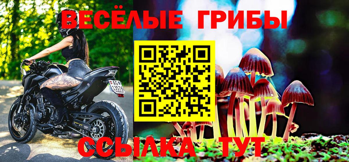 Галлюциногенные грибы мицелий  Вход с VPN  где купить наркоту  Спасск-Дальний 